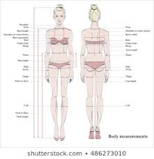 Fit Body Graphic Stock Illustrations Images Vectors