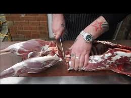 How To Butcher A Deer At Home The Ultimate Deer Butchery Video Venison