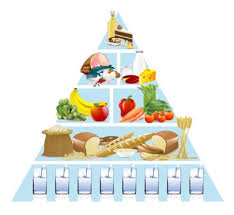 Food Guide Pyramid For Older Adults Food Pyramid Nutrition Magnesium Rich Foods