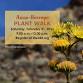 Anza-Borrego Plant Walk event in Borrego Springs, CA