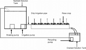 Arrangement Of The Closed Hydroponic System Download Scientific Diagram