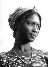 Title Pages 11/3/04 (Page 29)