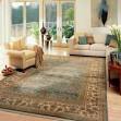x Area Rugs Wayfair