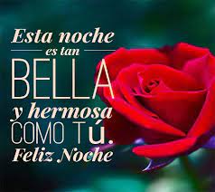 Imagenes De Rosas Rojas De Buenas Noches Rosas De Amor
