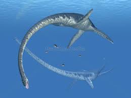 Elasmosaurus lived around the world from n. Plesiosaurier Elasmosaurus Lizenzfreies Bild 10632103 Bildagentur Panthermedia