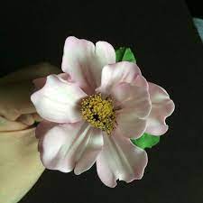 Cosmos Flowers Made From Gumpaste Cosmos Flowers Sugar Flowers Gum Paste