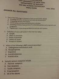 Solved Each Of The Following Is A Function Of The Nervous Chegg Com