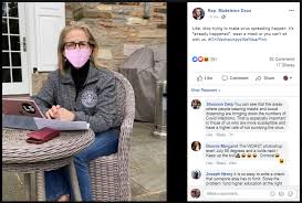 Representative Madeleine Dean Photoshopped A Pink Mask Onto An Old Photo In An Effort To Riff On Mean Girls Morethanthecurve
