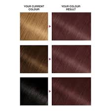 Revamp your look in the best. Garnier Olia 5 15 Frosted Chocolate Brown Permanent Hair Dye Superdrug