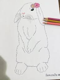 Free printable letter size sheets (8.5 x 11) you can use for all sorts of writing and printing. Flower Bunny Coloring Page Favecrafts Com