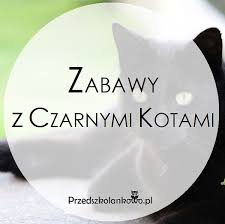 Miraculum kolorowanki biedronki i czarnego kota wydrukuj za darmo. Zabawy Z Czarnymi Kotami Przedszkolankowo