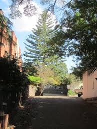 Make restaurant reservations and read reviews. Rosemont Woollahra Wikipedia