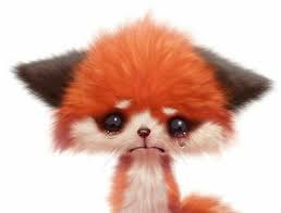 Pin By Apple Wang On Fox Animated Animals Cute Animals Cute Animal Drawings