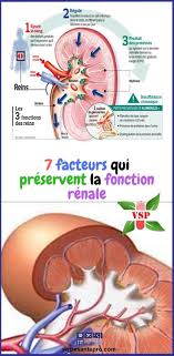 Epingle Sur Remede Naturel