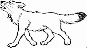Die durchschnittliche länge des wolfes beträgt einen meter, seine höhe mehr als einen halben meter. Wolf Malvorlagen Gratis Coloring And Malvorlagan