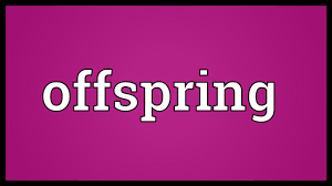 Offspring Meaning Youtube