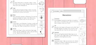 Mini Leseratsel Herbst Schule Geschichten Frau Locke In 2020 Schreibschrift Uben Kartei Frau Locke