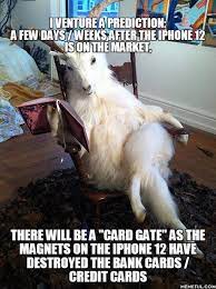 Best 30 Fainting Goat Fun On 9gag