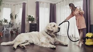 It performs consistently even as the dirt compartment fills up, and it manages to clean most the dyson v11 animal is excellent for cleaning pet hair. Top 8 Best Vacuum For Pet Hair Dec 2020 With Buying Guide