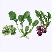 Stream Lettuce Turnip the Beet by Beet the System - SoundCloud