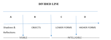 Plato Divided Line Wow Divider Reflection Bar Chart