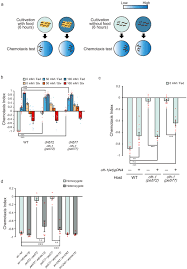 We did not find results for: Roles Of The Clc Chloride Channel Clh 1 In Food Associated Salt Chemotaxis Behavior Of C Elegans Elife
