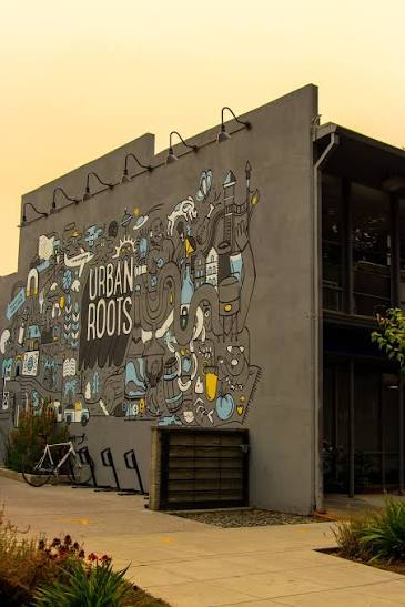 Urban Roots Update 8/21 — Urban Roots® | Craft Brewery & BBQ Smokehouse |  Sacramento, CA