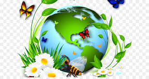 Según el convenio sobre diversidad biológica, el término biodiversidad o diversidad biológica se refiere a la variedad de organismos. Ano Internacional De La Biodiversidad La Biodiversidad Ecologia Imagen Png Imagen Transparente Descarga Gratuita