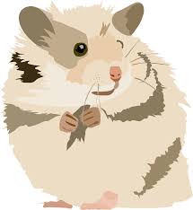 Hamster png images, djungarian hamster, roborovski hamster, hamster vector, chinese striped hamster, hamster cage, european hamster, grey dwarf hamster png Hamster Icons Png Free Png And Icons Downloads