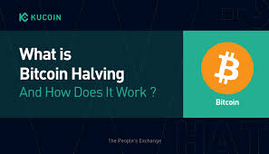 After the halving, this reward will be reduced to 3.125 bch. Everything You Need To Know About Bitcoin Halving