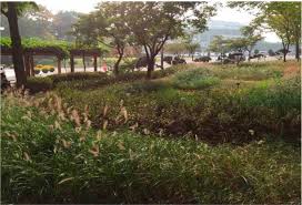 What is a rain garden model. Pdf Exploring The Relationship Between Prior Knowledge On Rain Gardens And Supports For Adopting Rain Gardens Using A Structural Equation Model Semantic Scholar