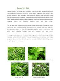 Download mp3 rumput ditepi jalan gratis, ada 20 daftar lagu rumput ditepi jalan yang bisa anda download. Rumput Tahi Babi