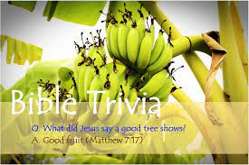 What is the first book in the bible? Bible Trivia 300 Series Bible Iq