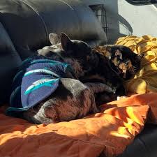 Ethel Bean and Edwin H (@marvelous_miss_ethel_bean) • Instagram photos and  videos