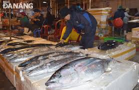 We carry all the top brands. Tho Quang Fishing Port Aims To Become Big Trading And Fishery Logistics Service Hub Da Nang Today News Enewspaper