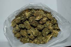 Buy Honeydew (AA) Online in Canada