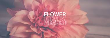 Check spelling or type a new query. The 6 Best Options For Flower Delivery In Macau 2021