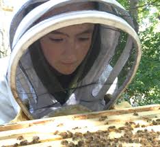 The West Hill Honey Company