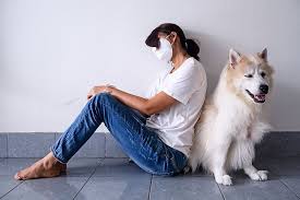 Your friend to lean on 3. 2nd Pet Dog Tests Positive For Covid 19 Coronavirus Petfoodindustry Com