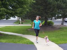 Start off by only running with your dog for a total of one mile per week and take the time to observe and assess his recovery after each run. How To Introduce Your Dog To Running Active