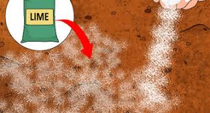 Measure the size of the container so the proper. How To Lower Soil Ph With Pictures Wikihow