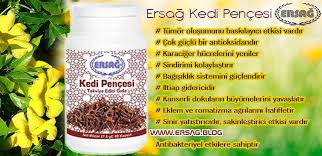Ersag Kedi Pencesi Ersag Saglikli Gida Kedi