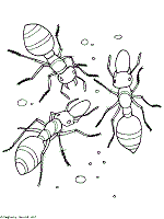 Hank wants to prevent others from abusing his invention. Ants Coloring Pages And Printable Activities