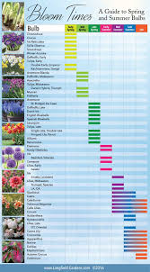 Bloom Time Chart For Spring And Summer Bulbs Plants
