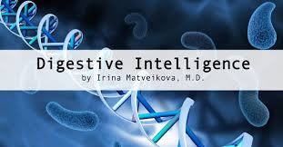 Microflora Gut Health And Your Second Brain Gut Health Health Plexus Products