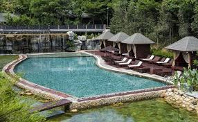 Tropical Resort Pool Next To Lagoon Swimming Pools Luxury Swimming Pools Swimming Pool Designs