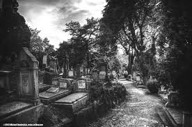 Transylvania Graveyard Google Zoeken Transylvania Abandoned Castles Cemetery