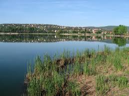 Home / interesting places / lakes / omszki tó. Harc A Teruletert Horgaszkalandok