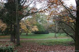 The alter botanischer garten tübingen (english: Tubingen Sehenswurdigkeiten Stadte Tubingen Goruma