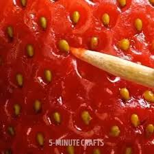 7 552 Likes 52 Comments 60s Delish On Instagram Seed Tricks By 5 Min Crafts All Credits 5 Min Crafts Crafts Diy Crafts Videos Diy Food